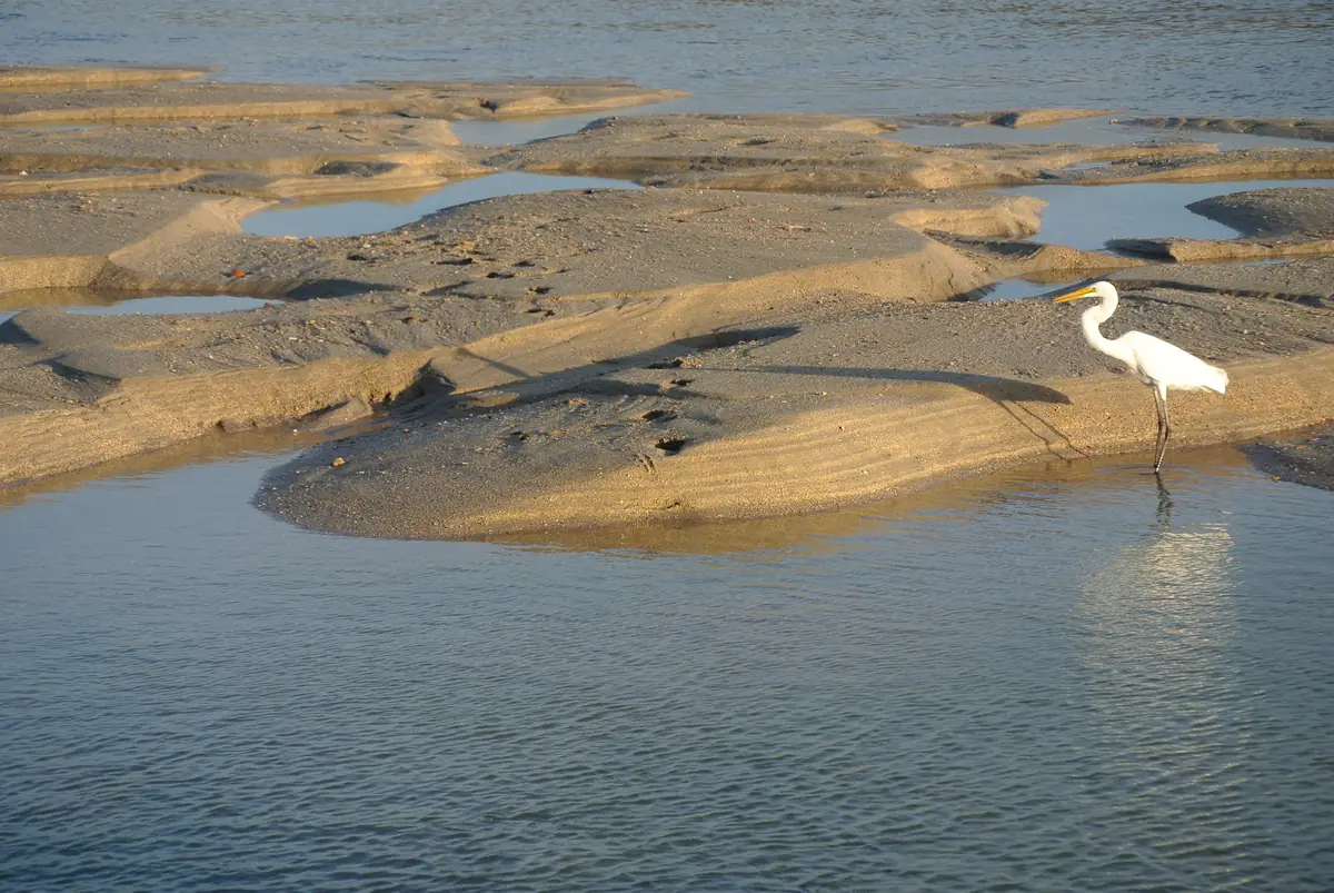 Gomti river estuary at Gomti Sangam Ghat, Dwarka, Gujarat